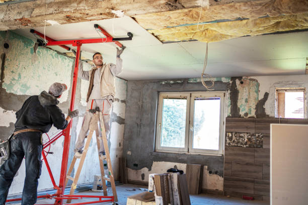 Best Insulation Replacement Services  in San Pasqual, CA